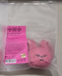 迷8 黃春火龍果 