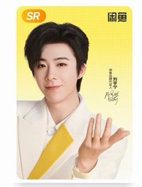 閒魚代言人 神奇卡 周邊卡 