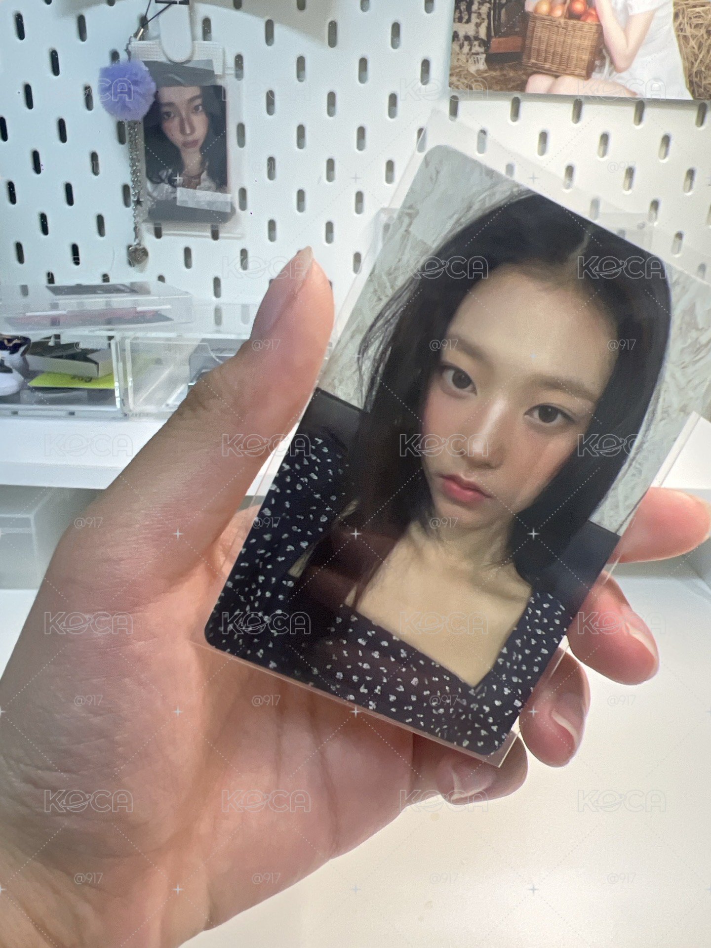 碎花小貓
