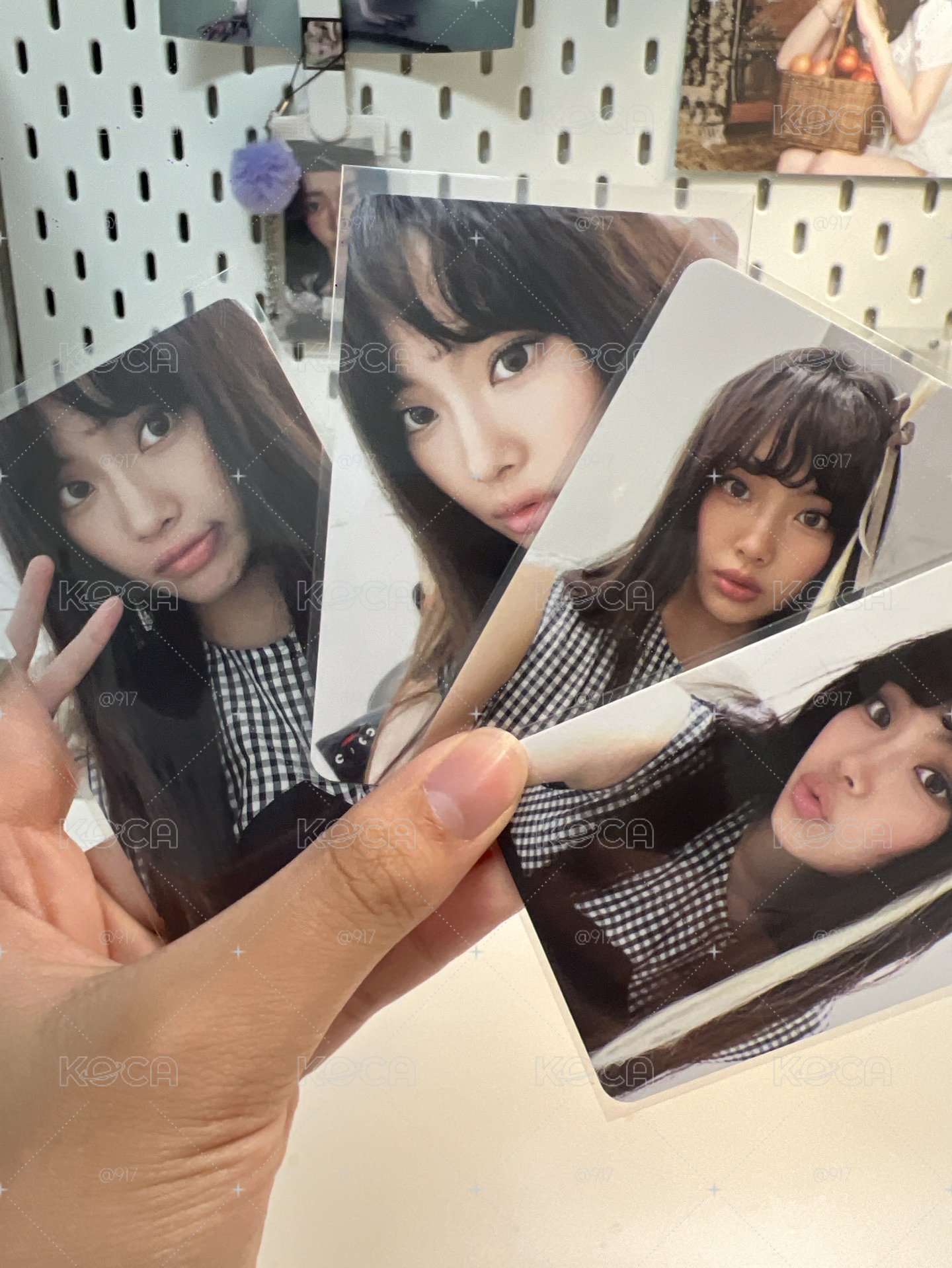 小貓