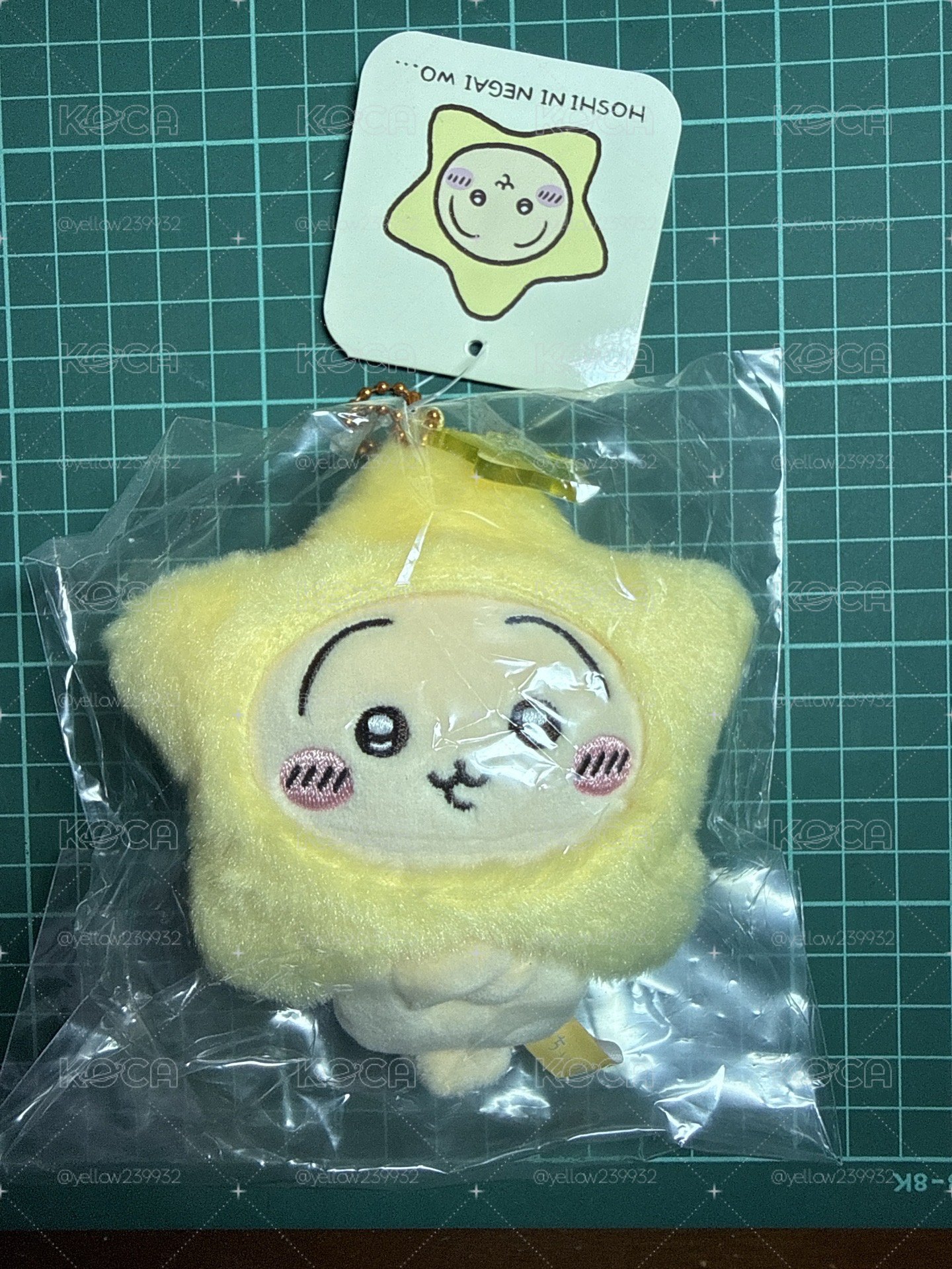 星星兔
