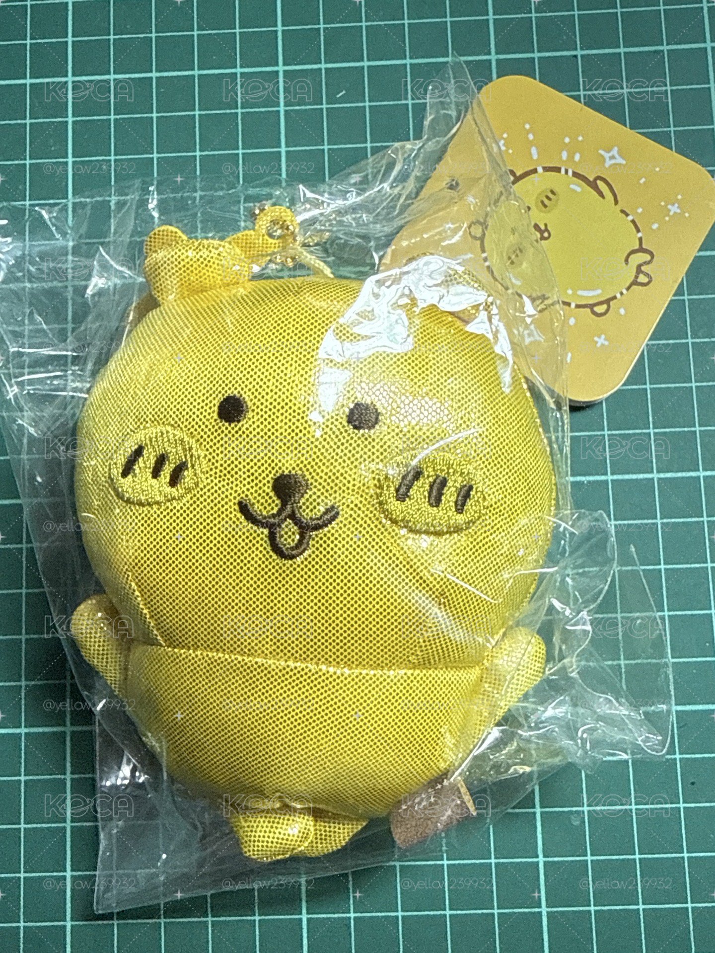 黃金熊