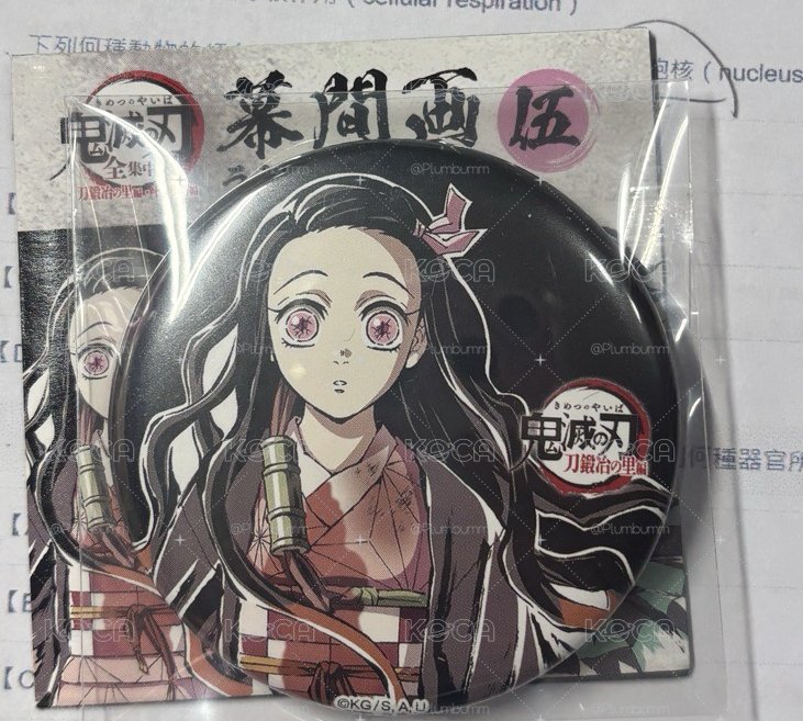 幕間伍 豆子徽章
