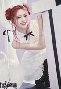 2024 日本快閃 JYP JAPAN 生寫真 