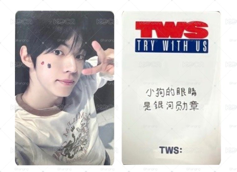 金小狗
