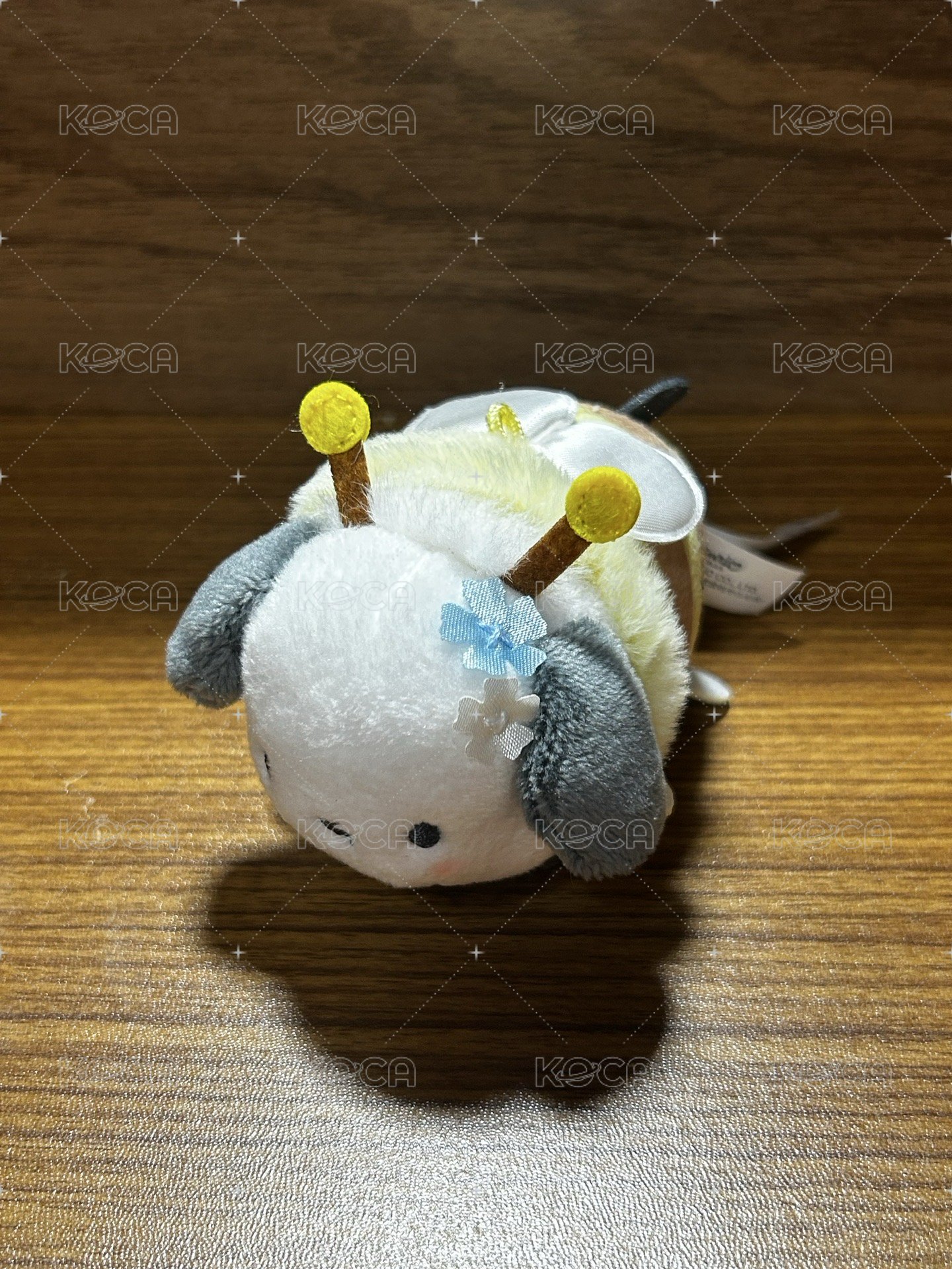 帕恰狗蜜蜂