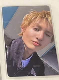 小馬