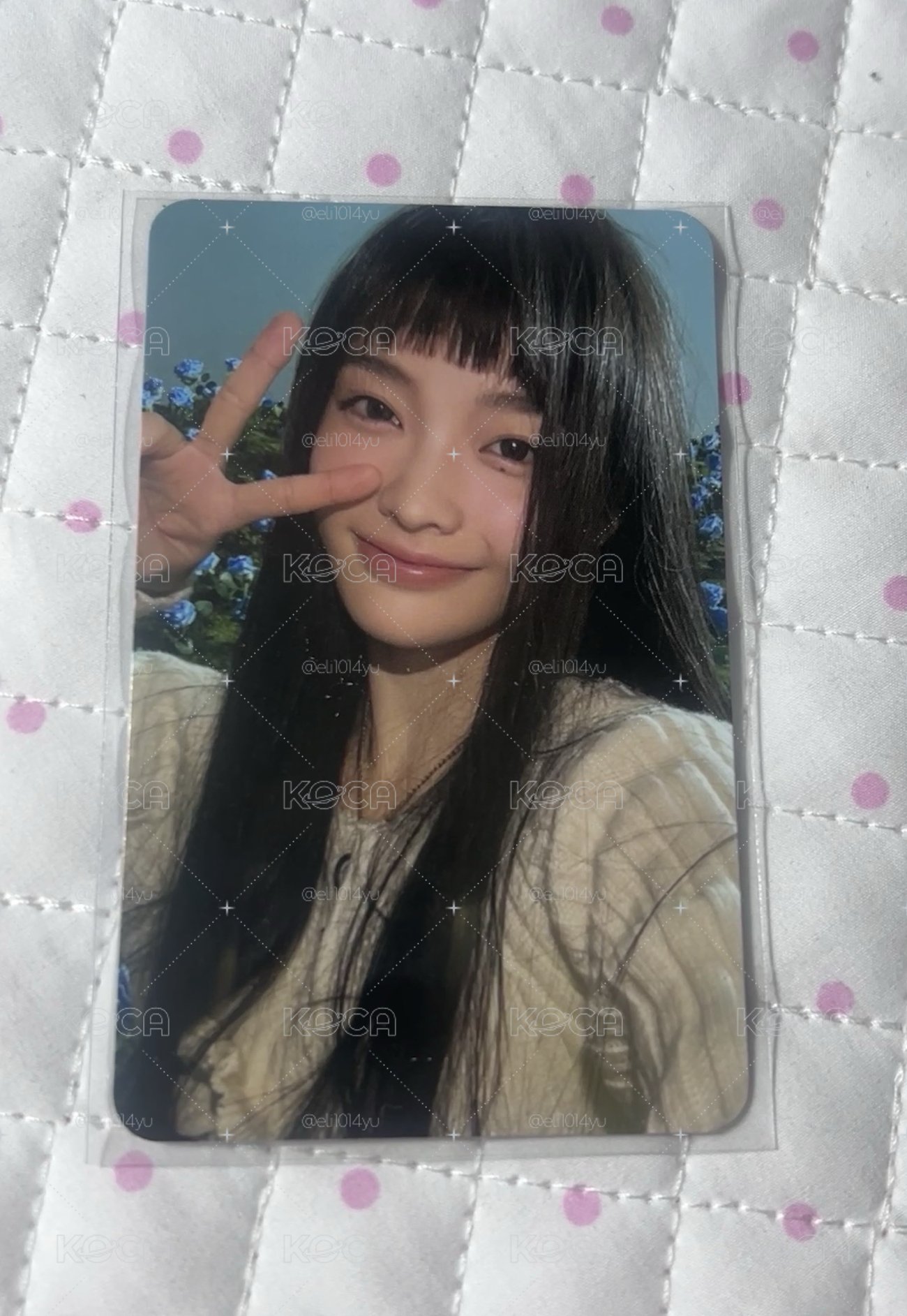 出道花海嘍哈
