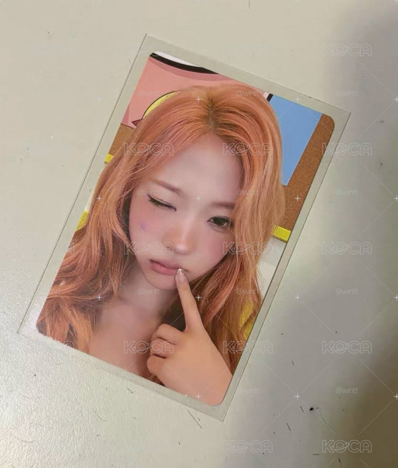 ny stella 現貨