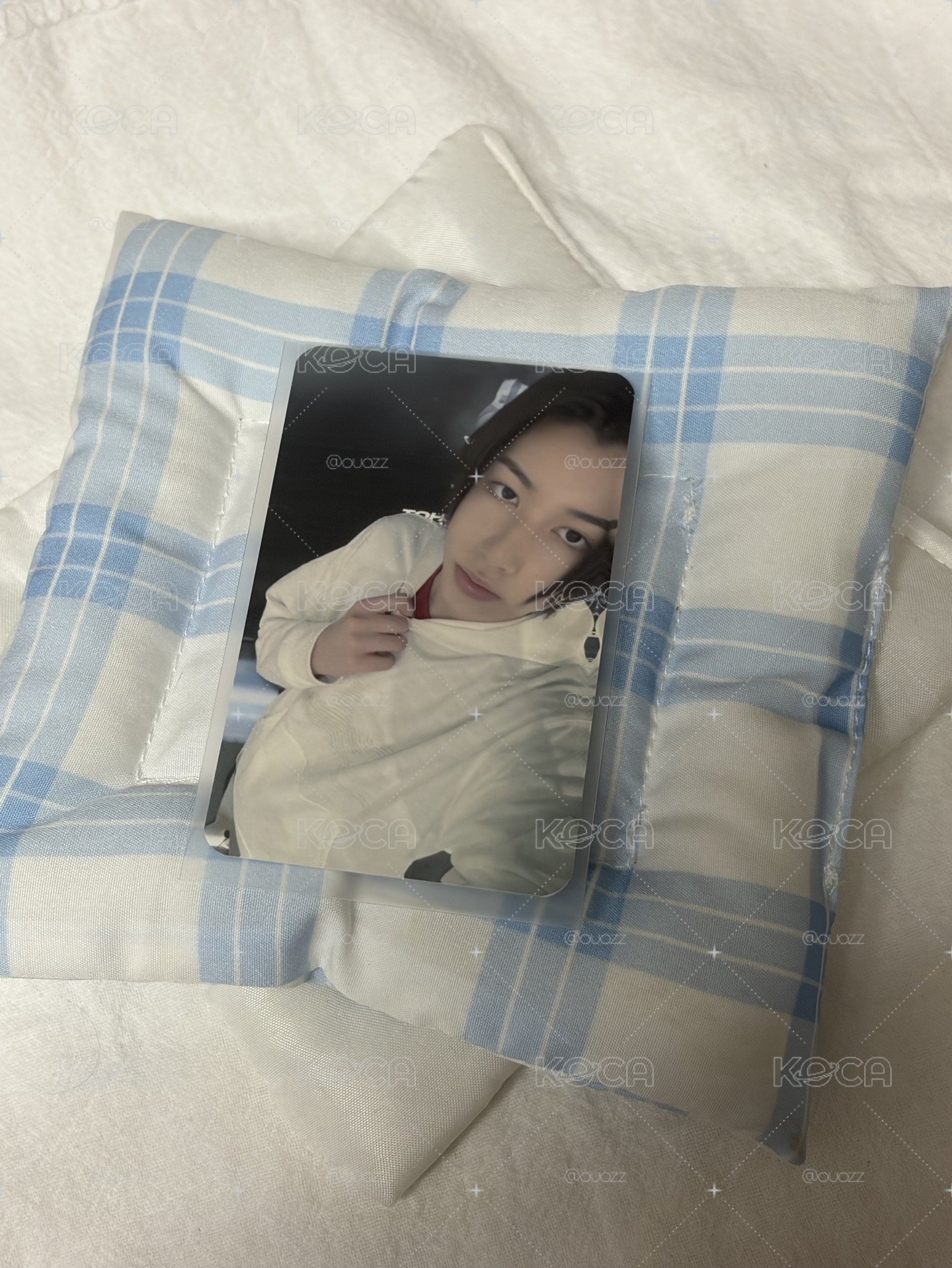 萌萌忙內中文卡背