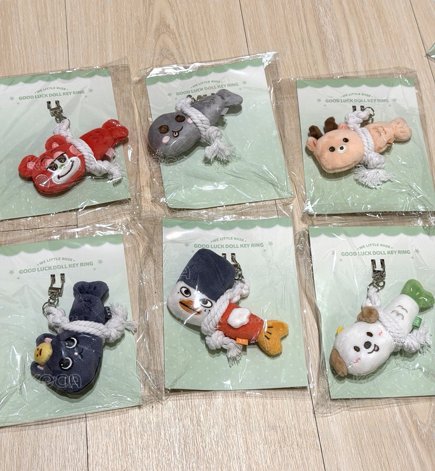 當日可發 RIIZE安可小魚乾