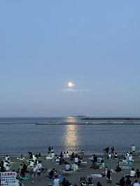 瓜