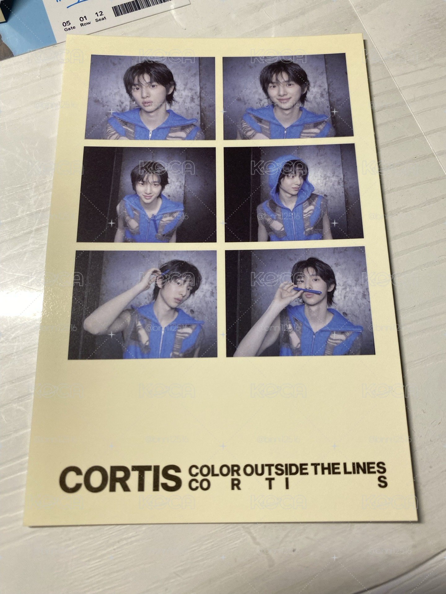 Cortis專區