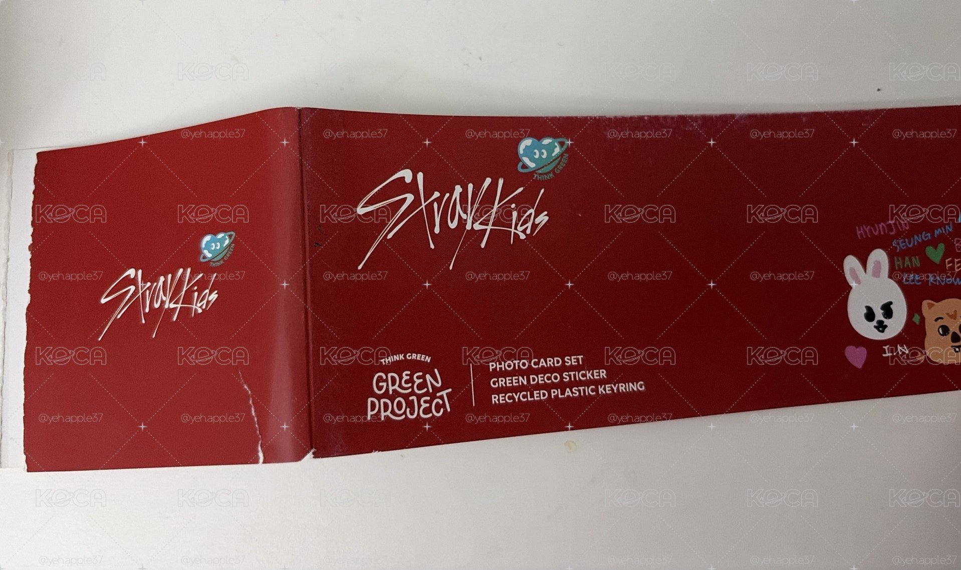 stray kids green project木盒組