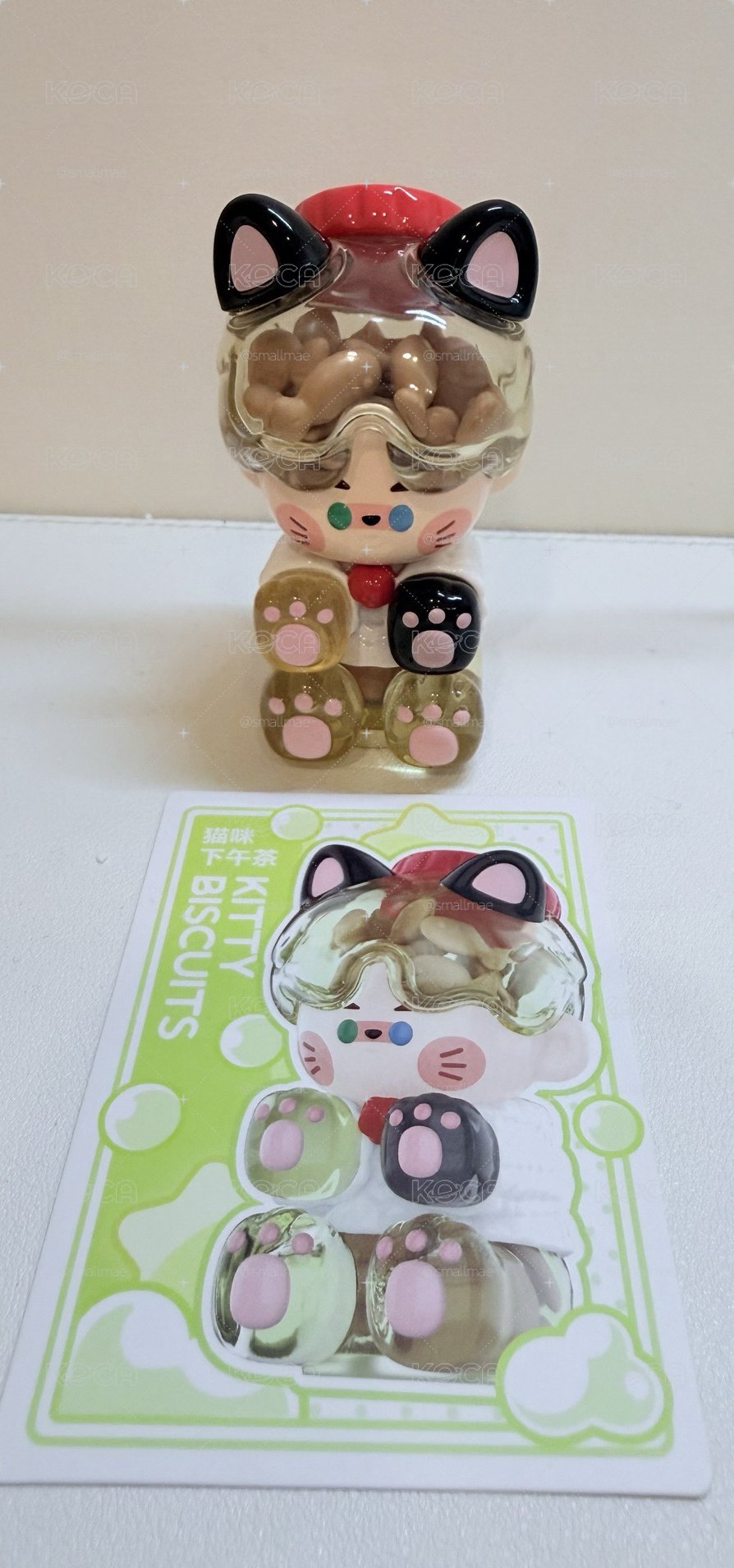 PINO JELLY 在你生活裡 貓咪下午茶