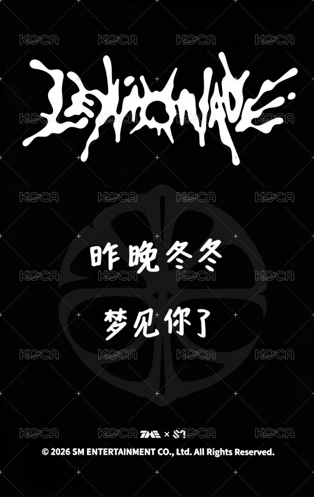 LEMONADE 陶瓷杯 周邊卡  背面