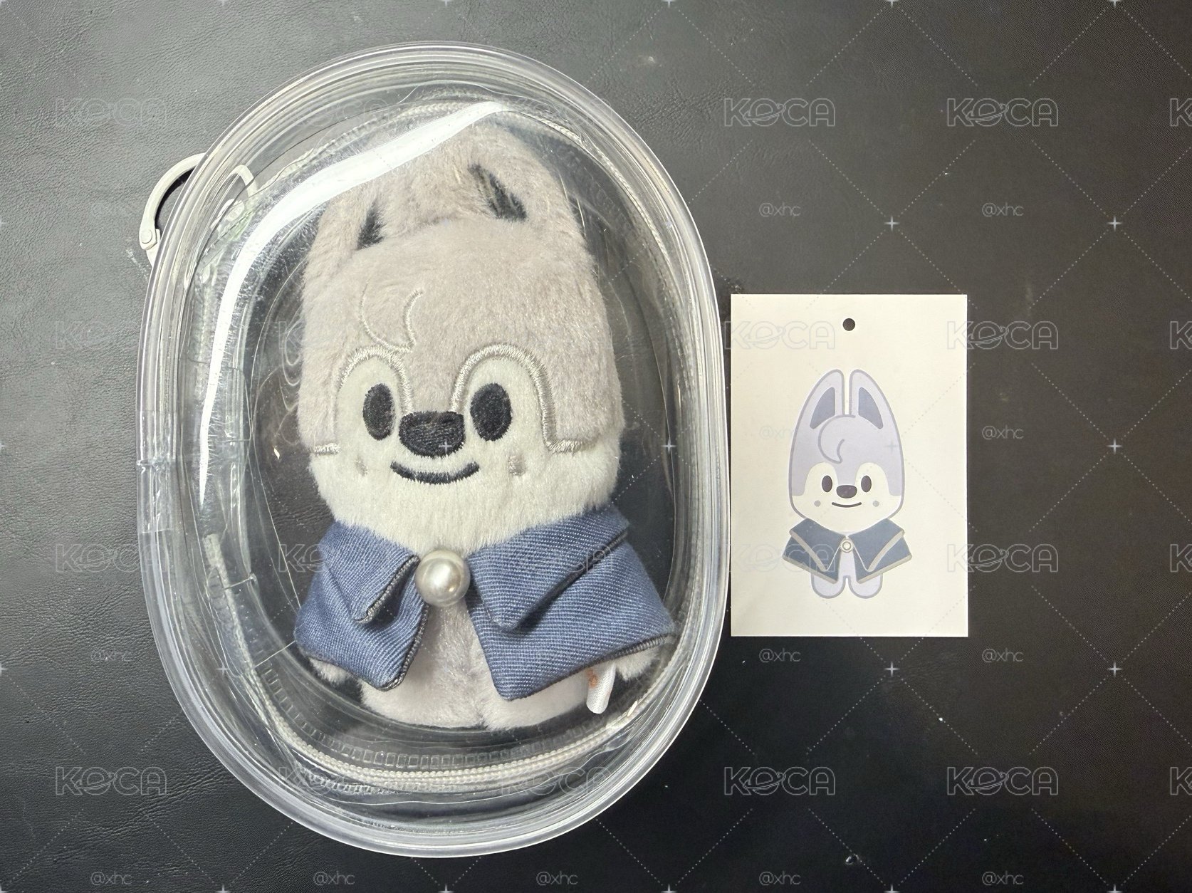 燦狼 魔法學校 10cm娃（含娃包）