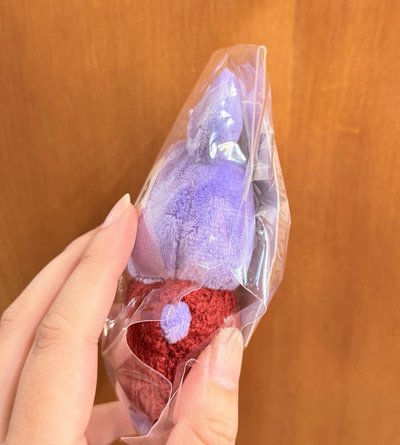 冬日快閃紗娃