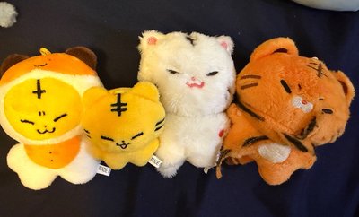 權順榮小盤 送圖二娃娃