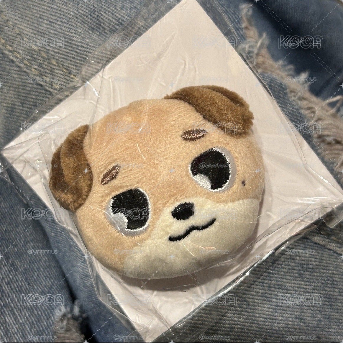 日周髮夾