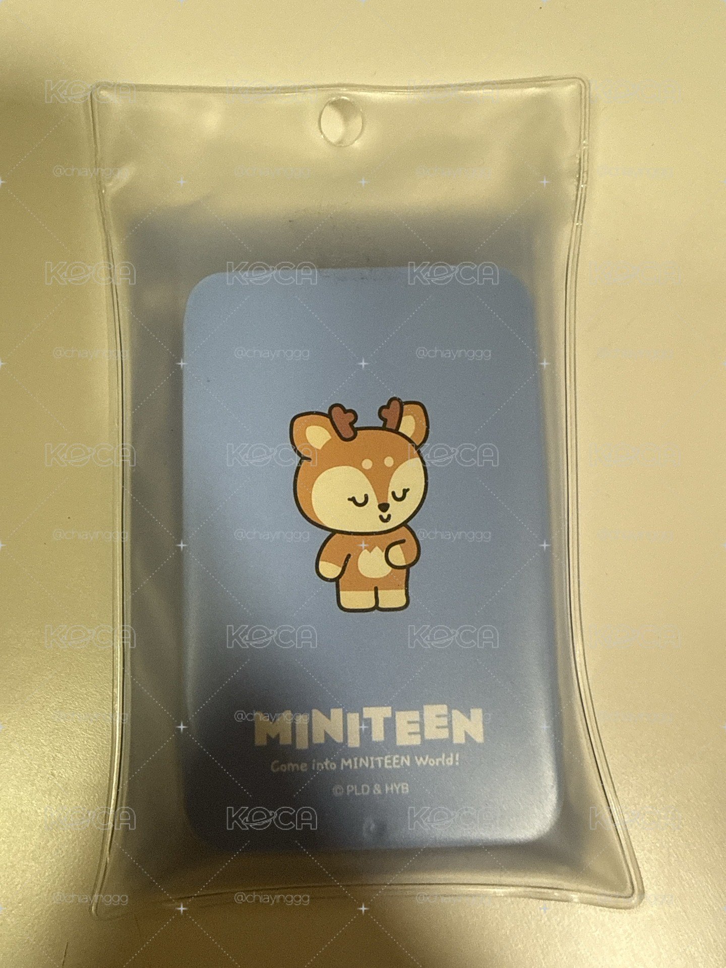 miniteen貼紙鐵盒 秀