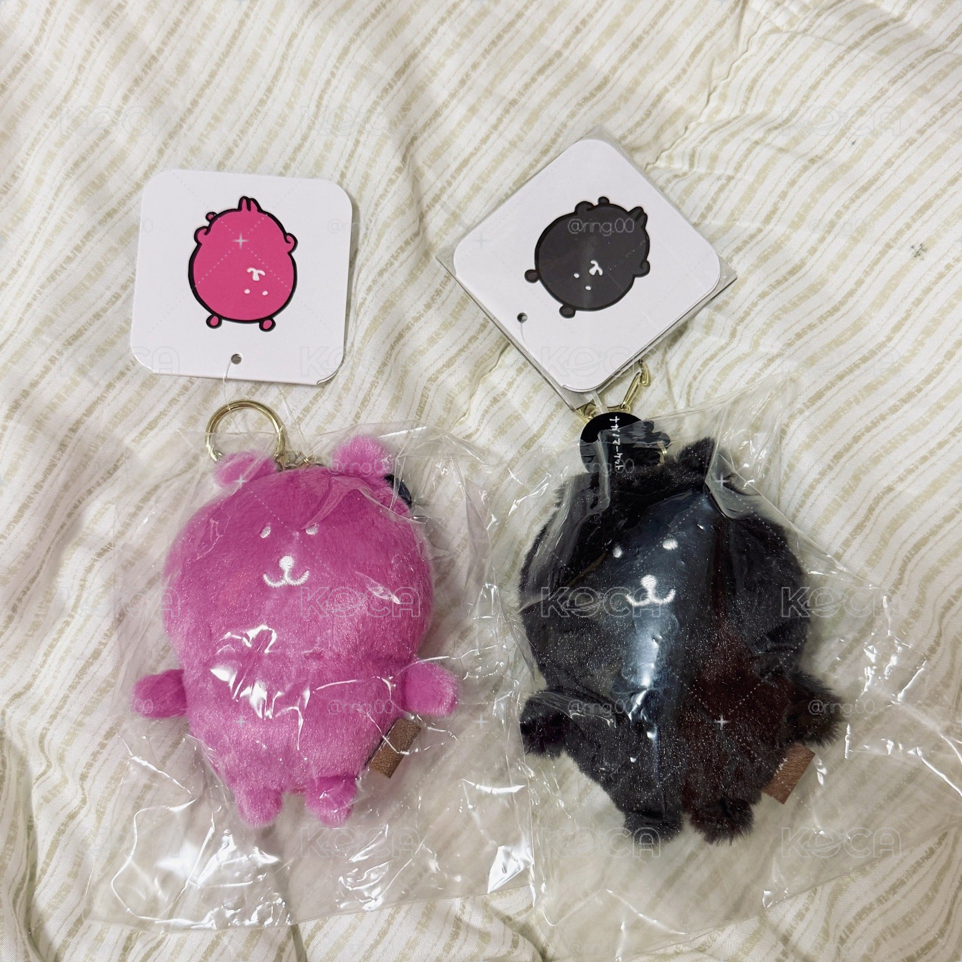 自嘲熊 彩色熊 水藍/紫/粉/灰/咖啡/桃粉/黑