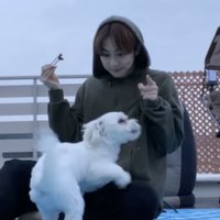 정