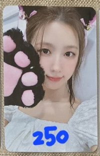 貓掌麵