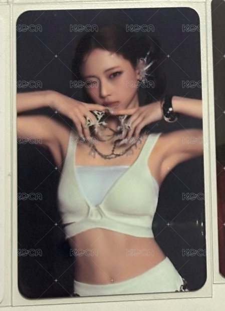 有廠瑕