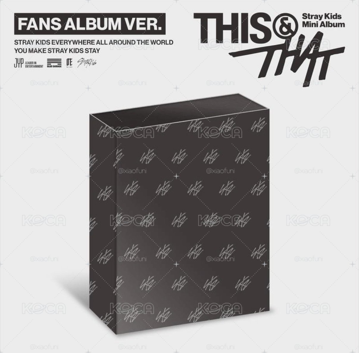 預購 不二補 含特典 Stray Kids THIS & THAT (FANS ALBUM VER.) 阿拉丁/SW通路