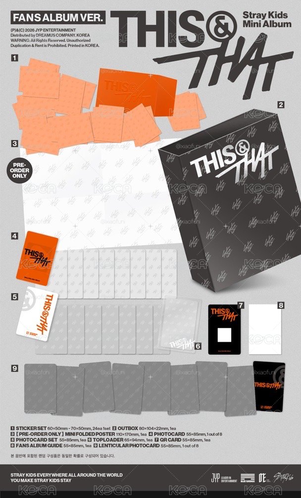 預購 不二補 Stray Kids THIS & THAT (FANS ALBUM VER.) 阿拉丁/SW通路