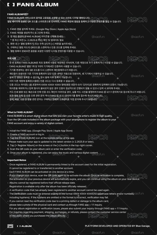 預購 不二補 Stray Kids THIS & THAT (FANS ALBUM VER.) 阿拉丁/SW通路