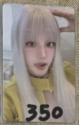 狗耳琦