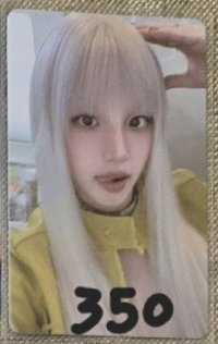 狗耳琦