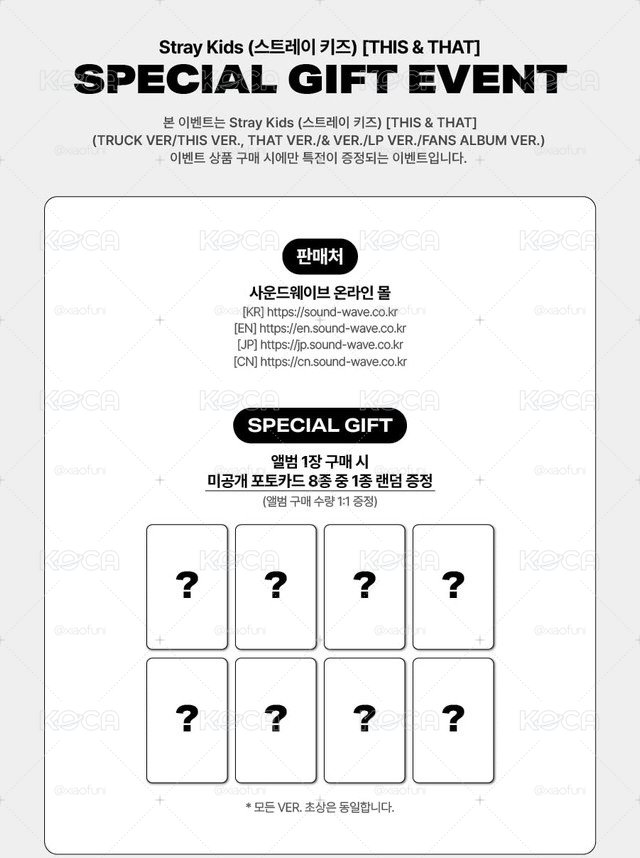 預購 不二補 含特典 Stray Kids THIS & THAT (FANS ALBUM VER.) 阿拉丁/SW通路