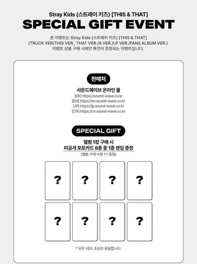 預購 不二補 含特典 Stray Kids THIS & THAT (FANS ALBUM VER.) 阿拉丁/SW通路