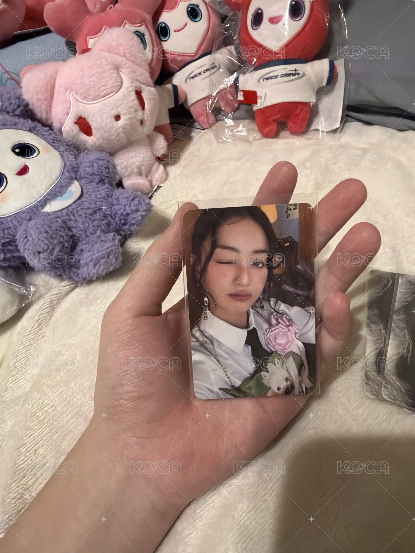 十週年志效紅卡背