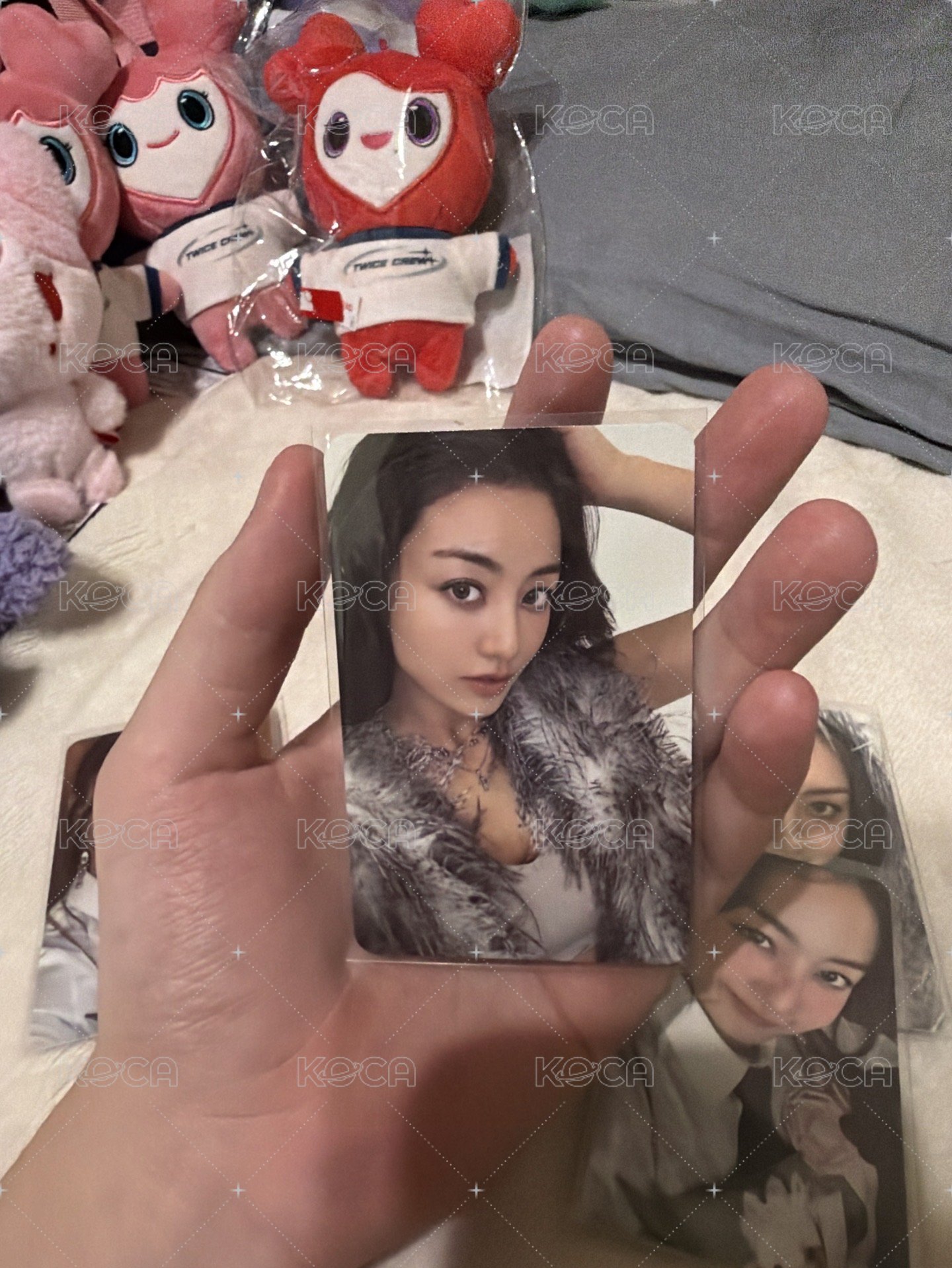十週年志效2