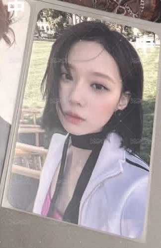 會一直愛小狗吧