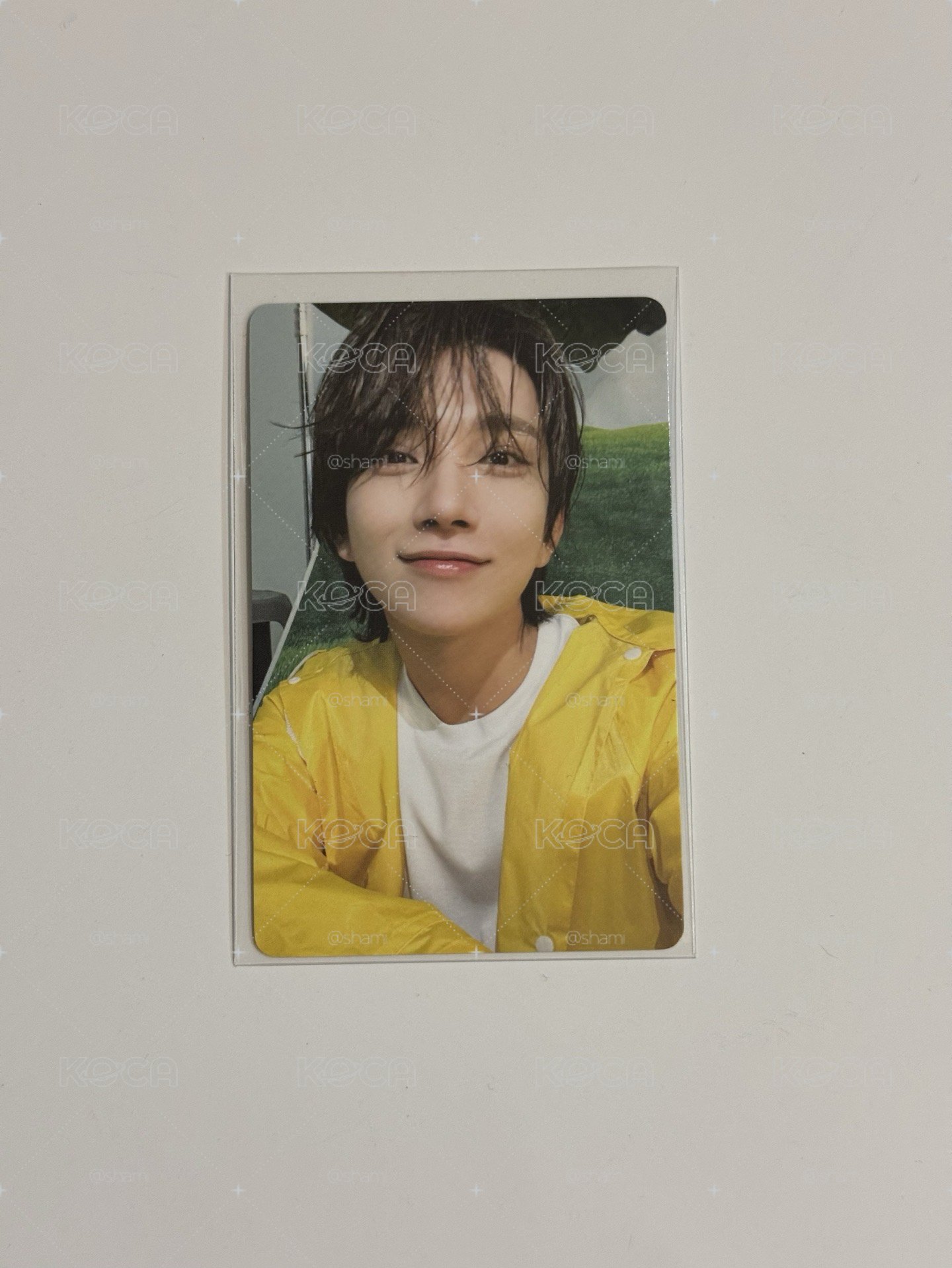 MINI11 專輯卡 CARAT ver.