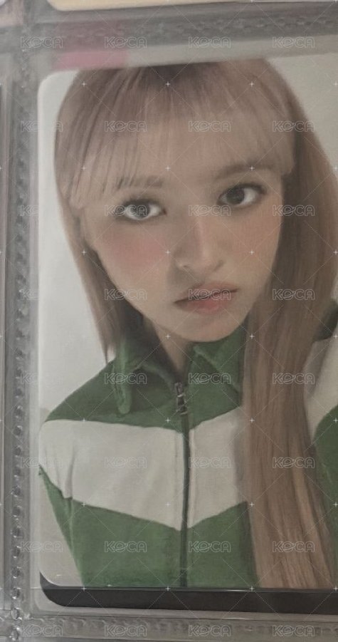 莉2