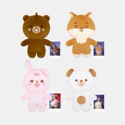Search image