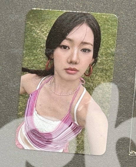 茶