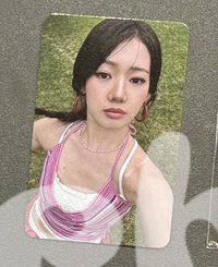 茶