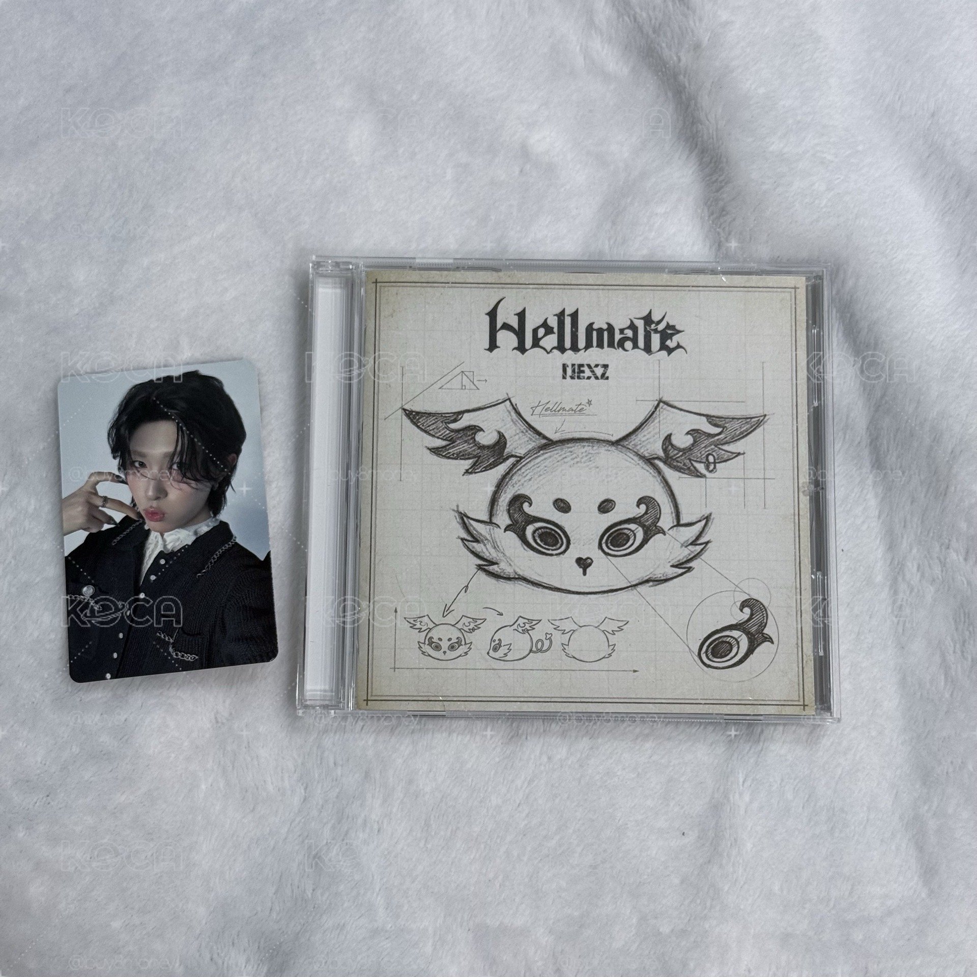 NEXZ Hellmate日專通常盤 已拆全專