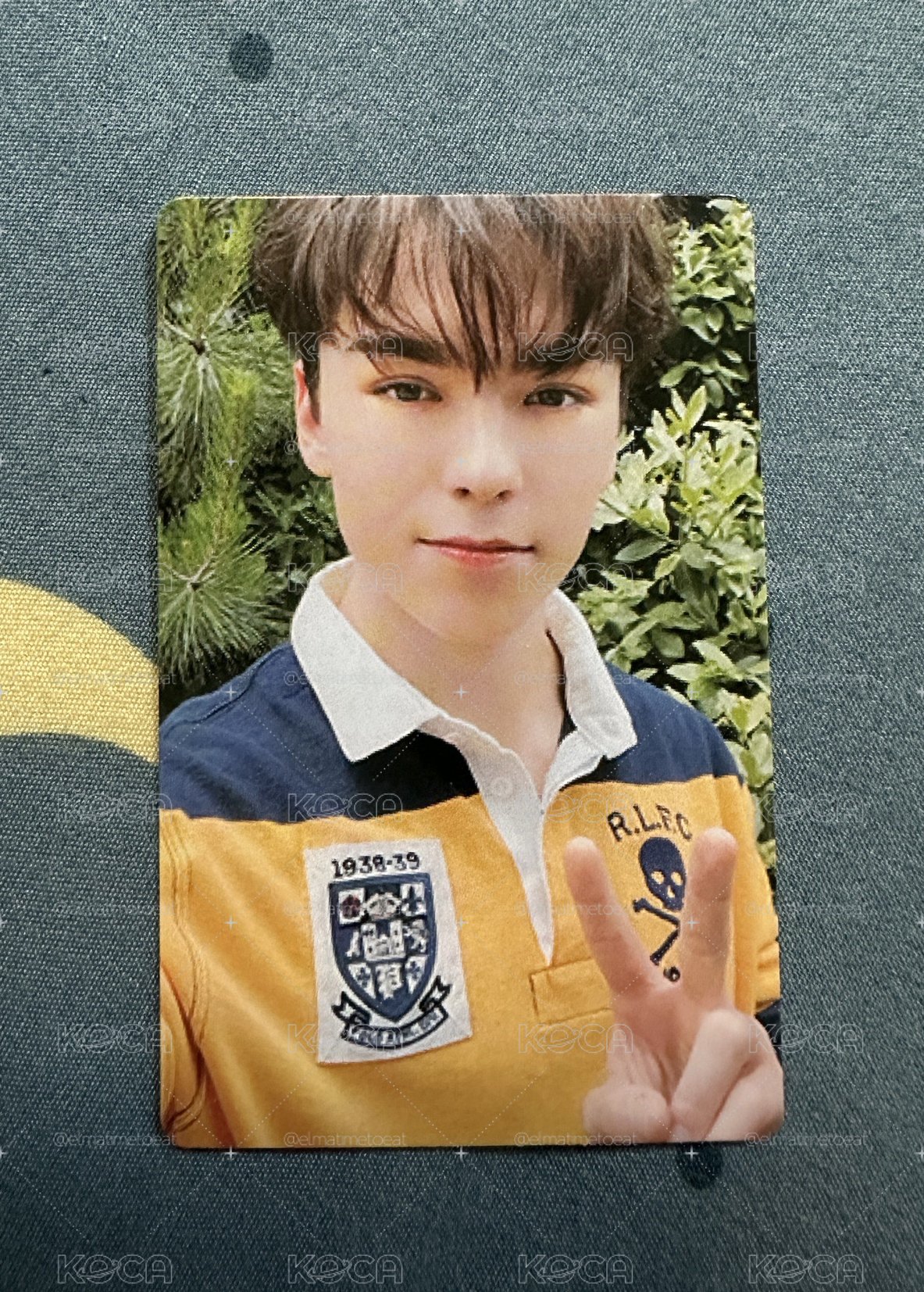 Seventeen 各成員專輯小卡