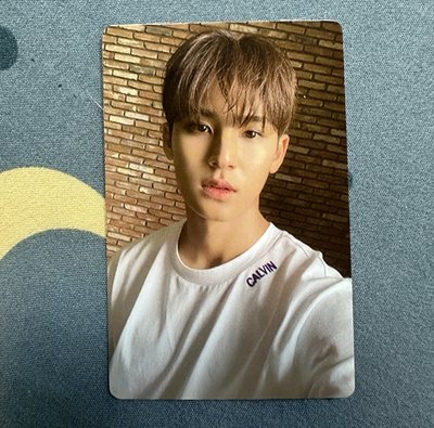 Seventeen 各成員專輯小卡