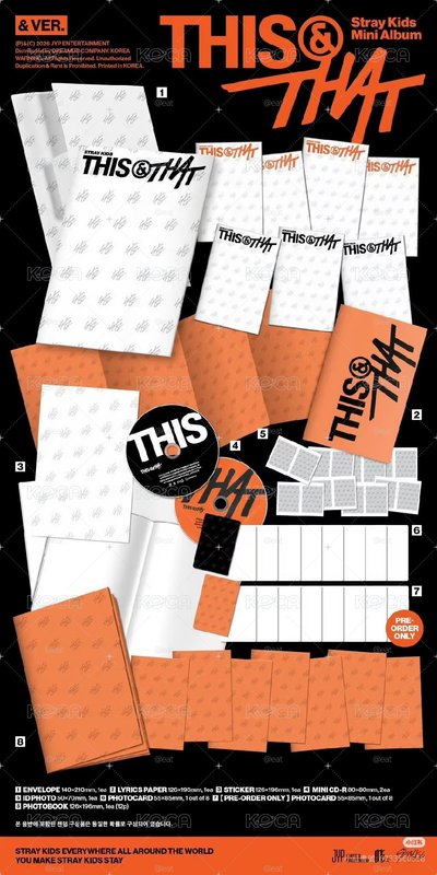 Straykids 各通路專含特典 this&that