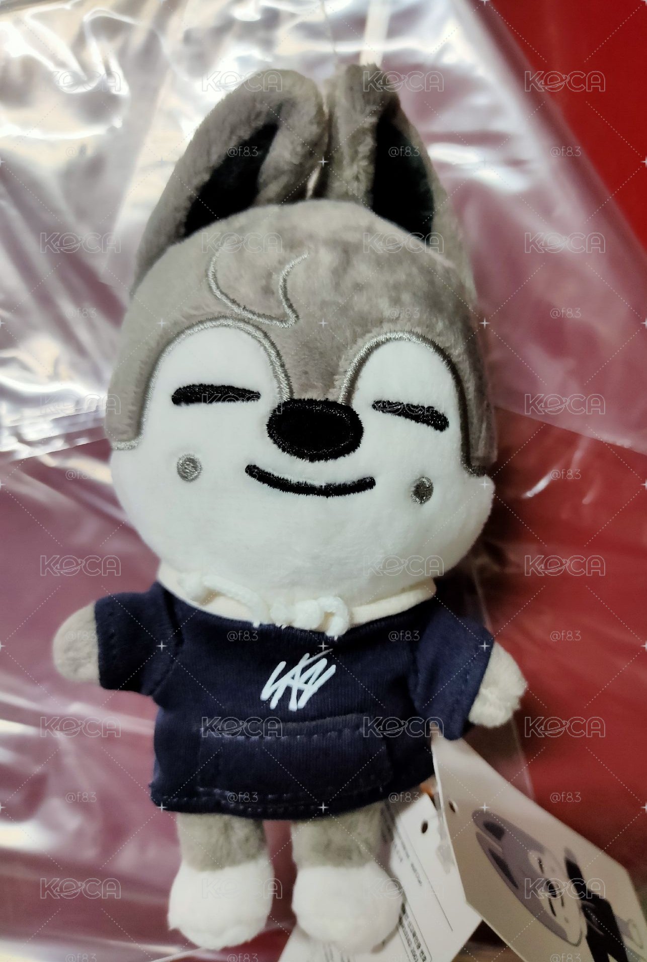 娃娃們（請看商品說明後再下單）