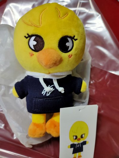 娃娃們（請看商品說明後再下單）